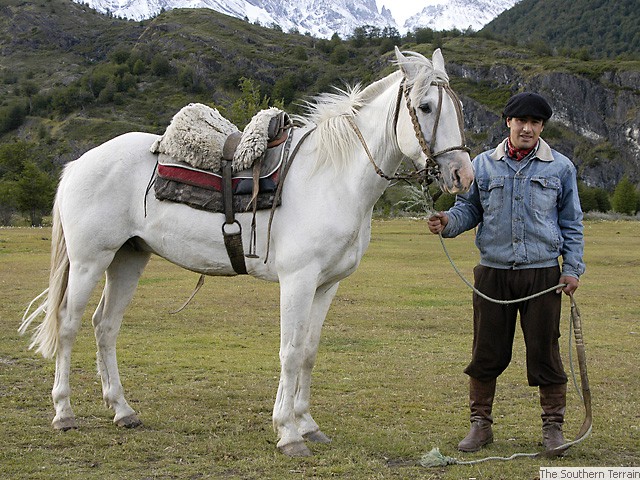 Gaucho and horse