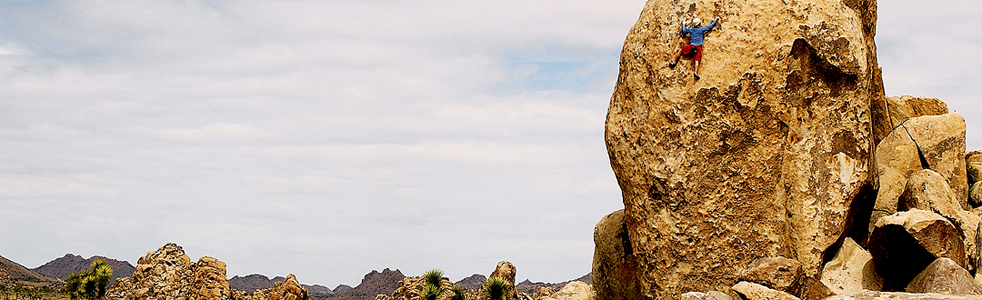 Joshua Tree 